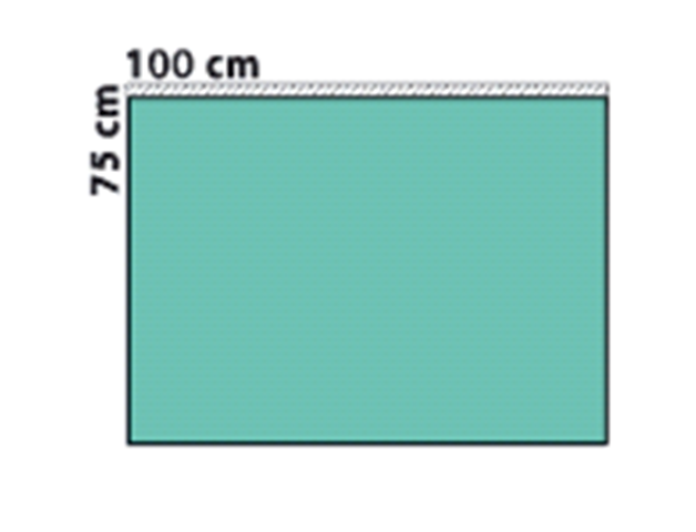ZF0050_538914 Ped Op lakan