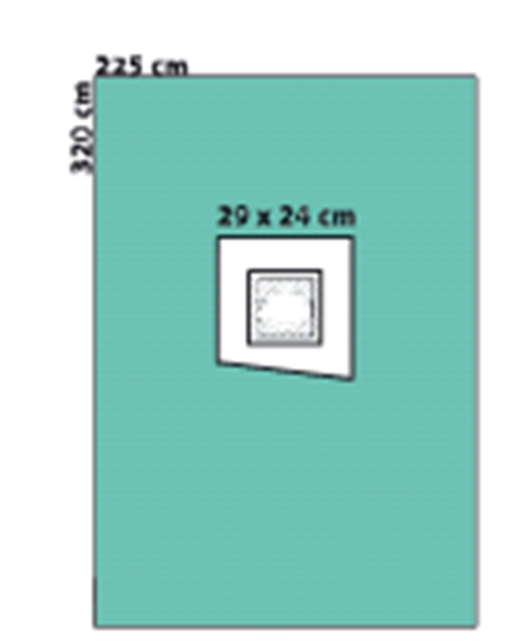 ZF0050_558813 Sectiolakan